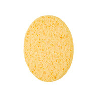 DAILY BEAUTY TOOLS Cellulose Cleansing Sponge - THEFACESHOP Australia Queensland