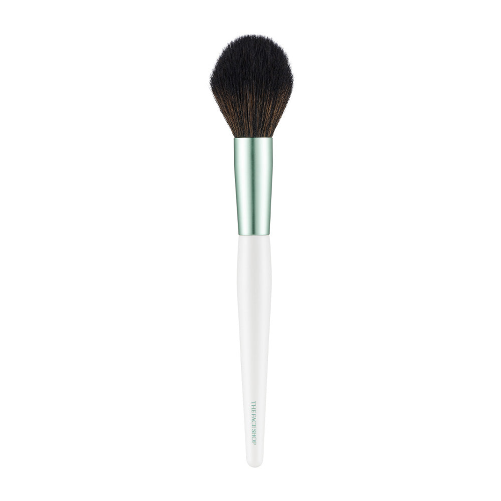 DAILY BEAUTY TOOLS Cheek Brush
