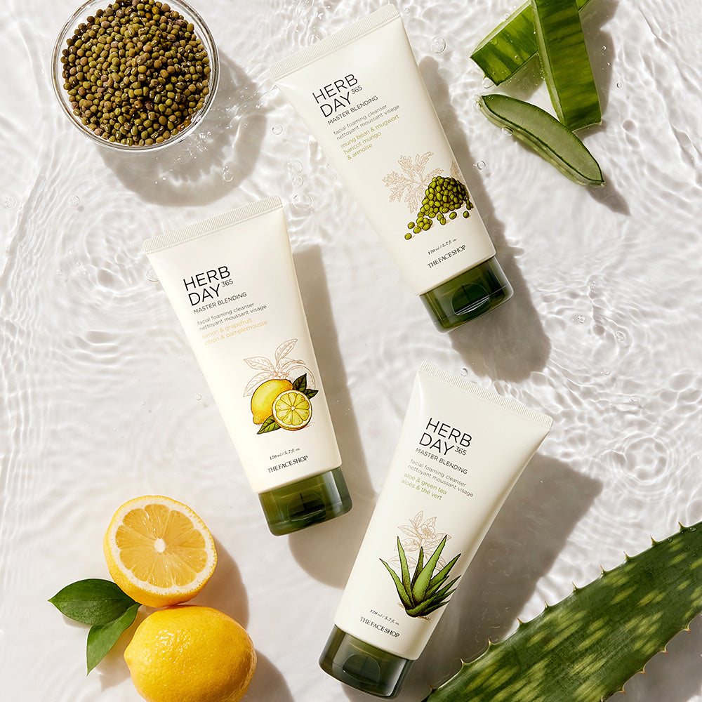 HERB DAY 365 MASTER Blending Facial Foaming Cleanser - Mungbean & Mugwort - THEFACESHOP Australia Queensland