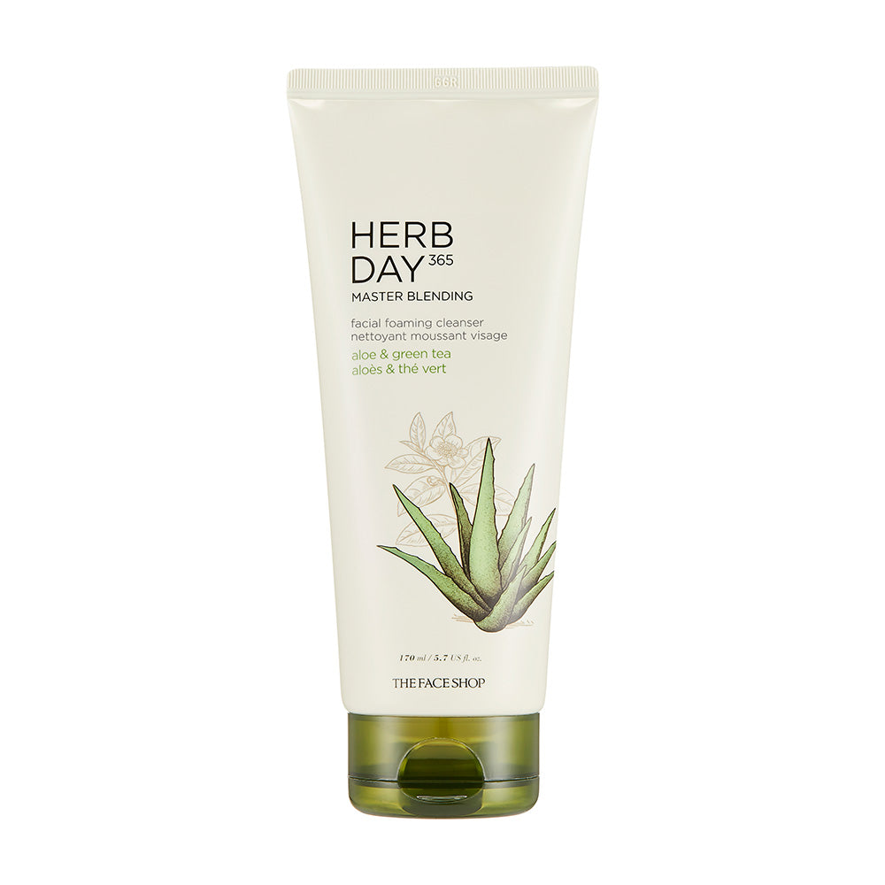 HERB DAY 365 MASTER Blending Facial Foaming Cleanser - Aloe & Greentea - THEFACESHOP Australia Queensland