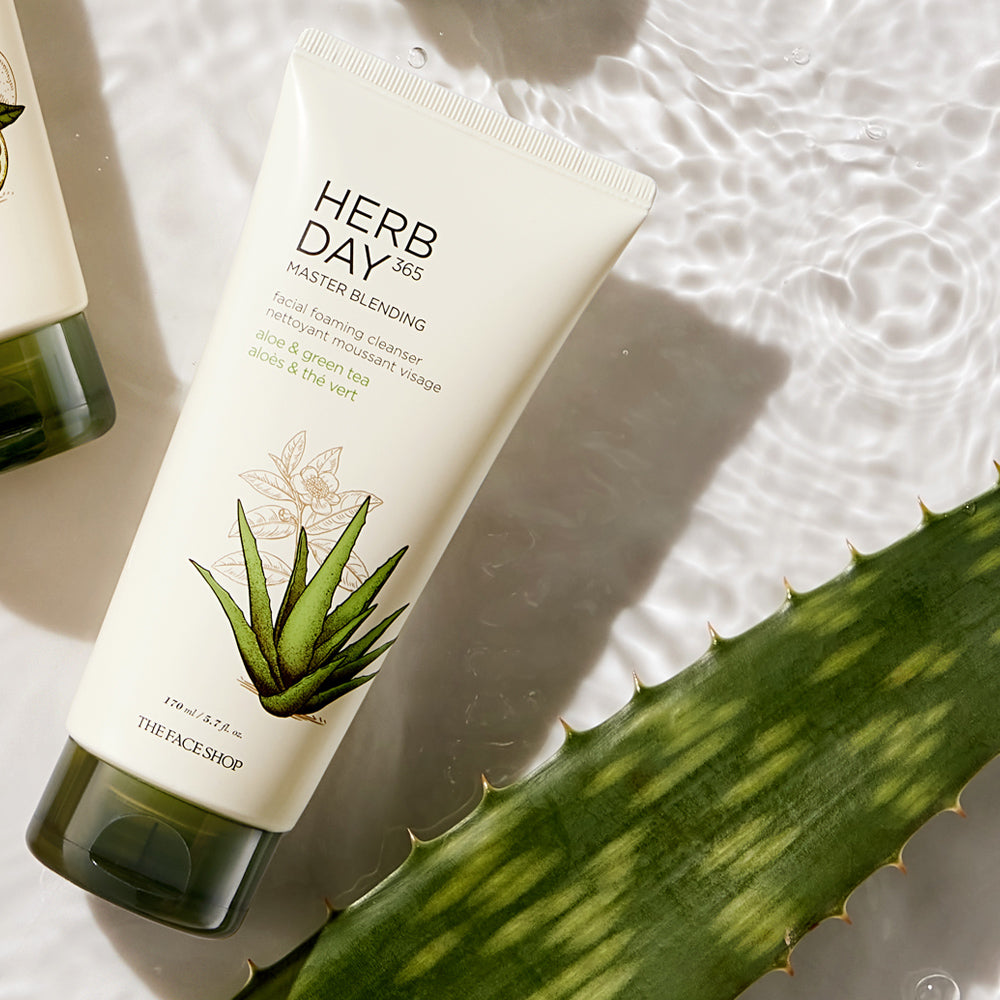 HERB DAY 365 MASTER Blending Facial Foaming Cleanser - Aloe & Greentea - THEFACESHOP Australia Queensland