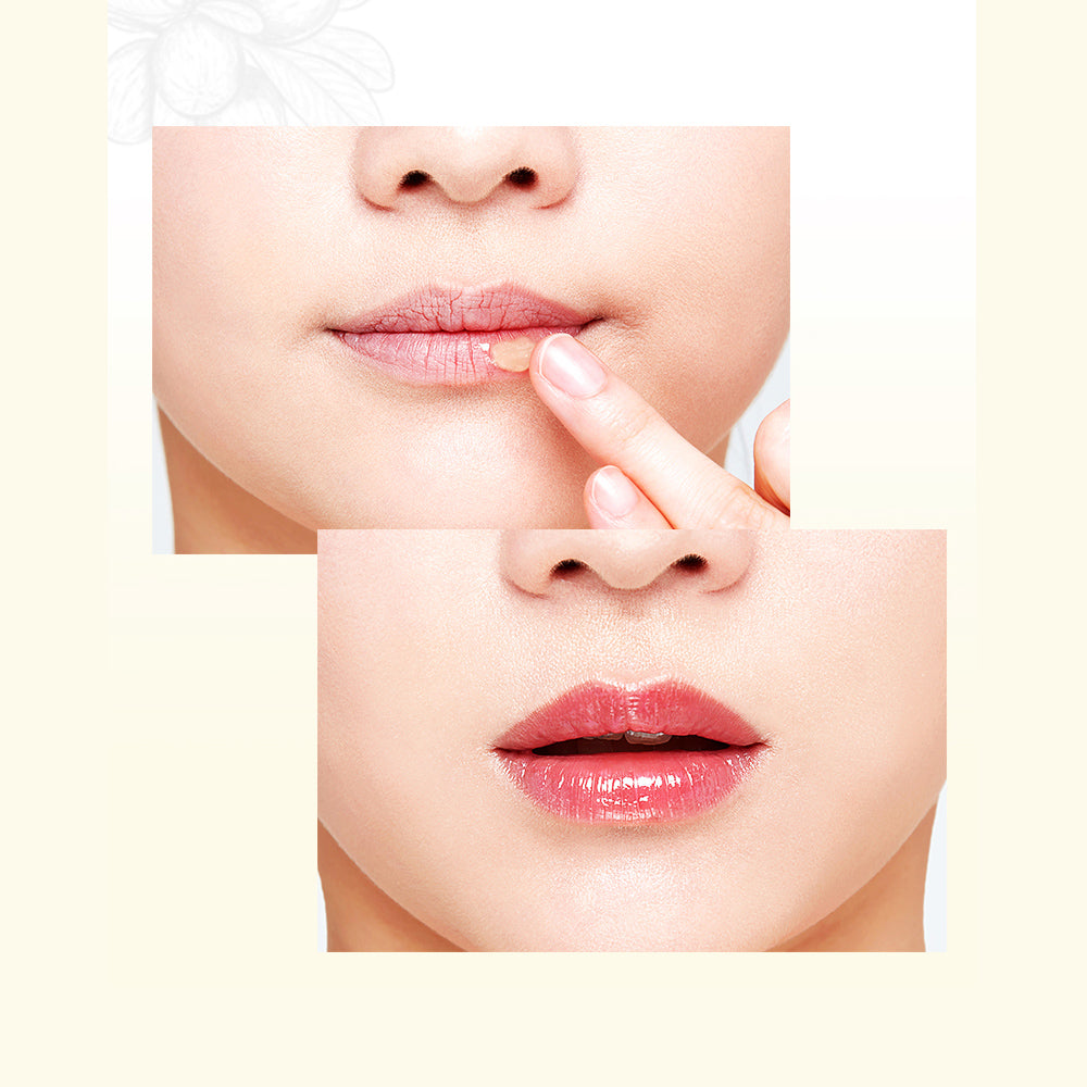 LIP CARE Cream - THEFACESHOP Australia Queensland