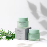 TEA TREE Pore Cream - THEFACESHOP Australia Queensland