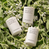 the therapy Vegan Multi Lipcerin - THEFACESHOP Australia Queensland