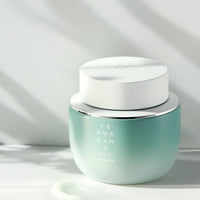 YEHWADAM Artemisia Soothing Moisturizing Cream - THEFACESHOP Australia Queensland