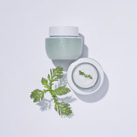 YEHWADAM Artemisia Soothing Moisturizing Cream - THEFACESHOP Australia Queensland
